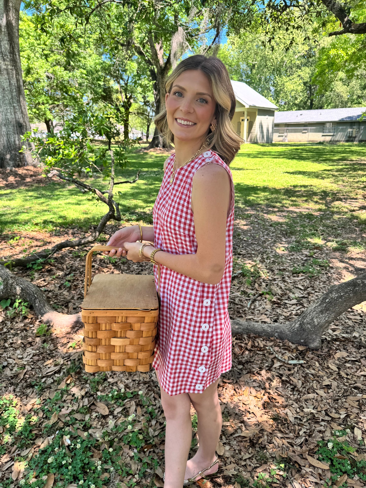 Picnic Date Side Button Gingham Dress